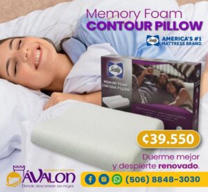 Almohada Sealy Memory Foam Contour